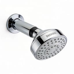 Moon shower head identified by AI